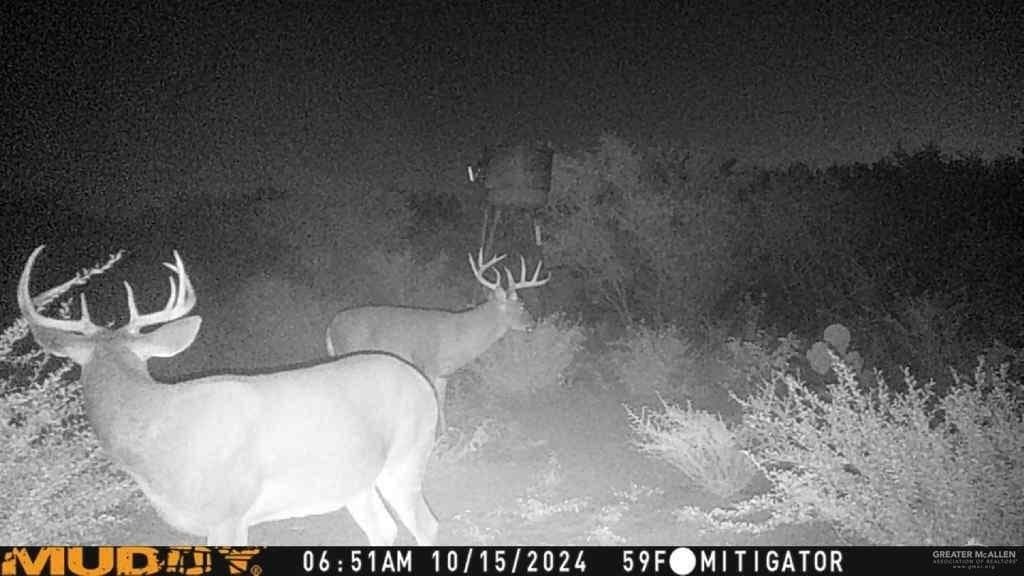 120 acres in Zapata County - photo 25