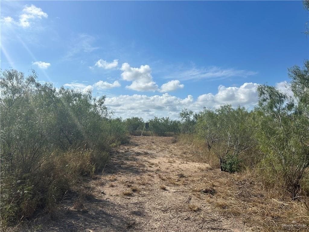 120 acres in Zapata County - photo 23