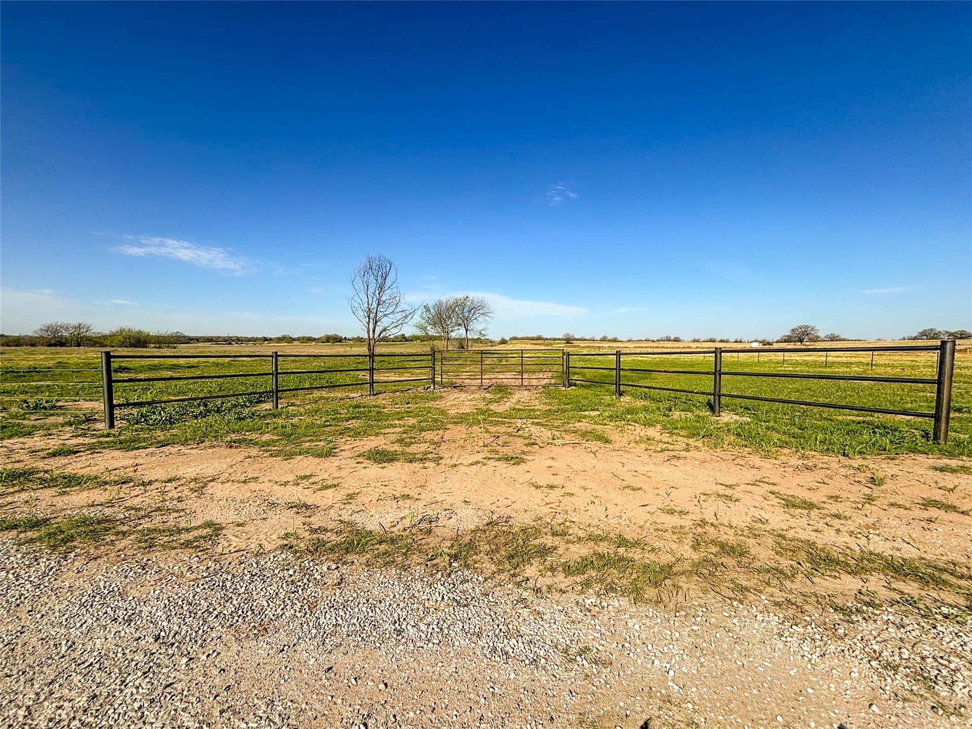 15.1 acres in Wise County - photo 19