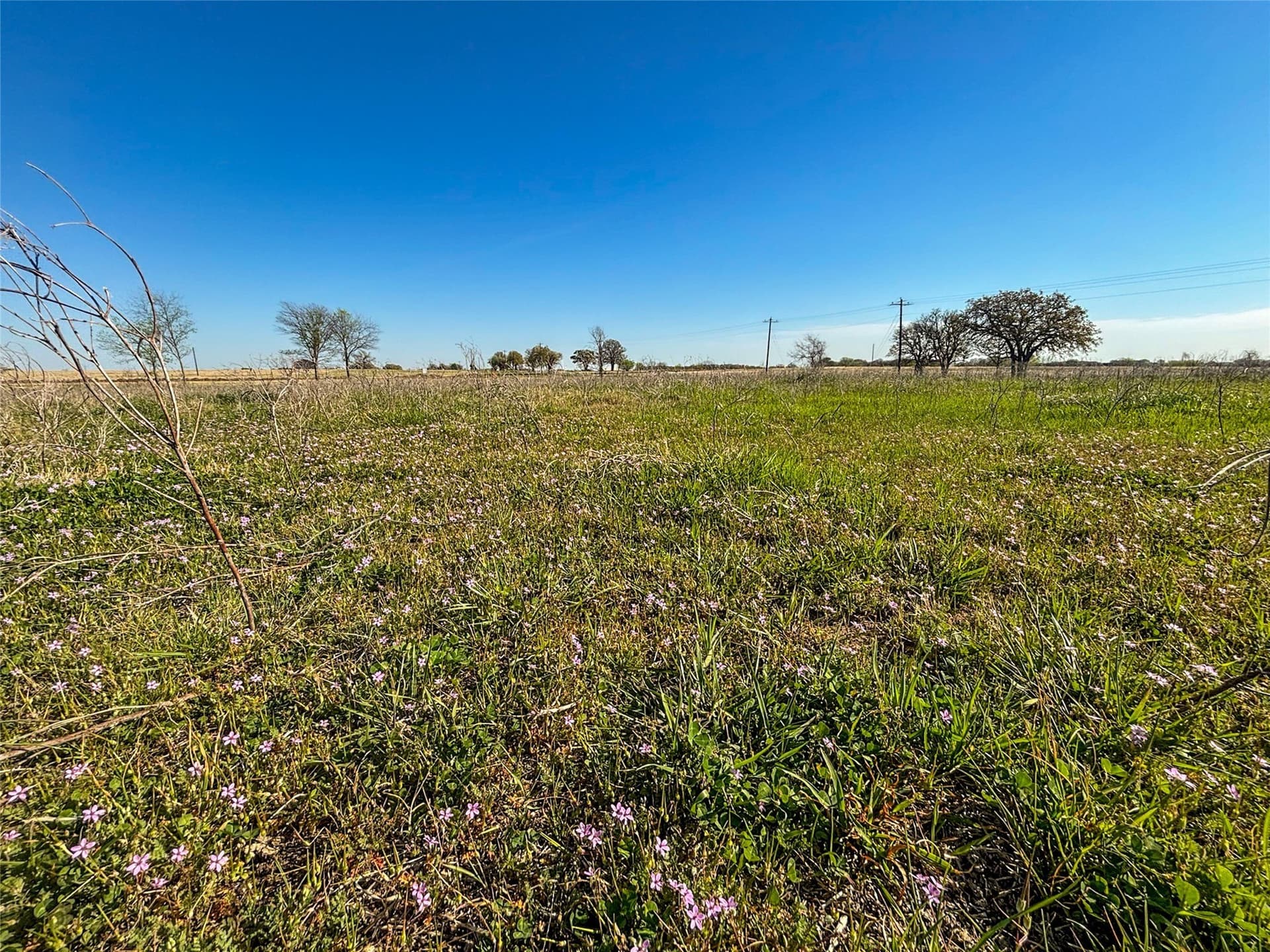 15.1 acres in Wise County - photo 25