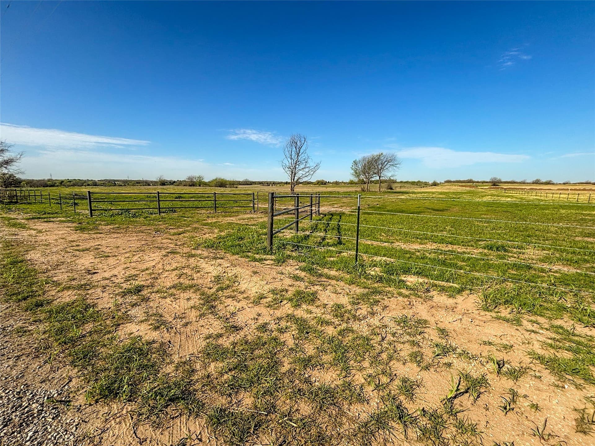 15.1 acres in Wise County - photo 18