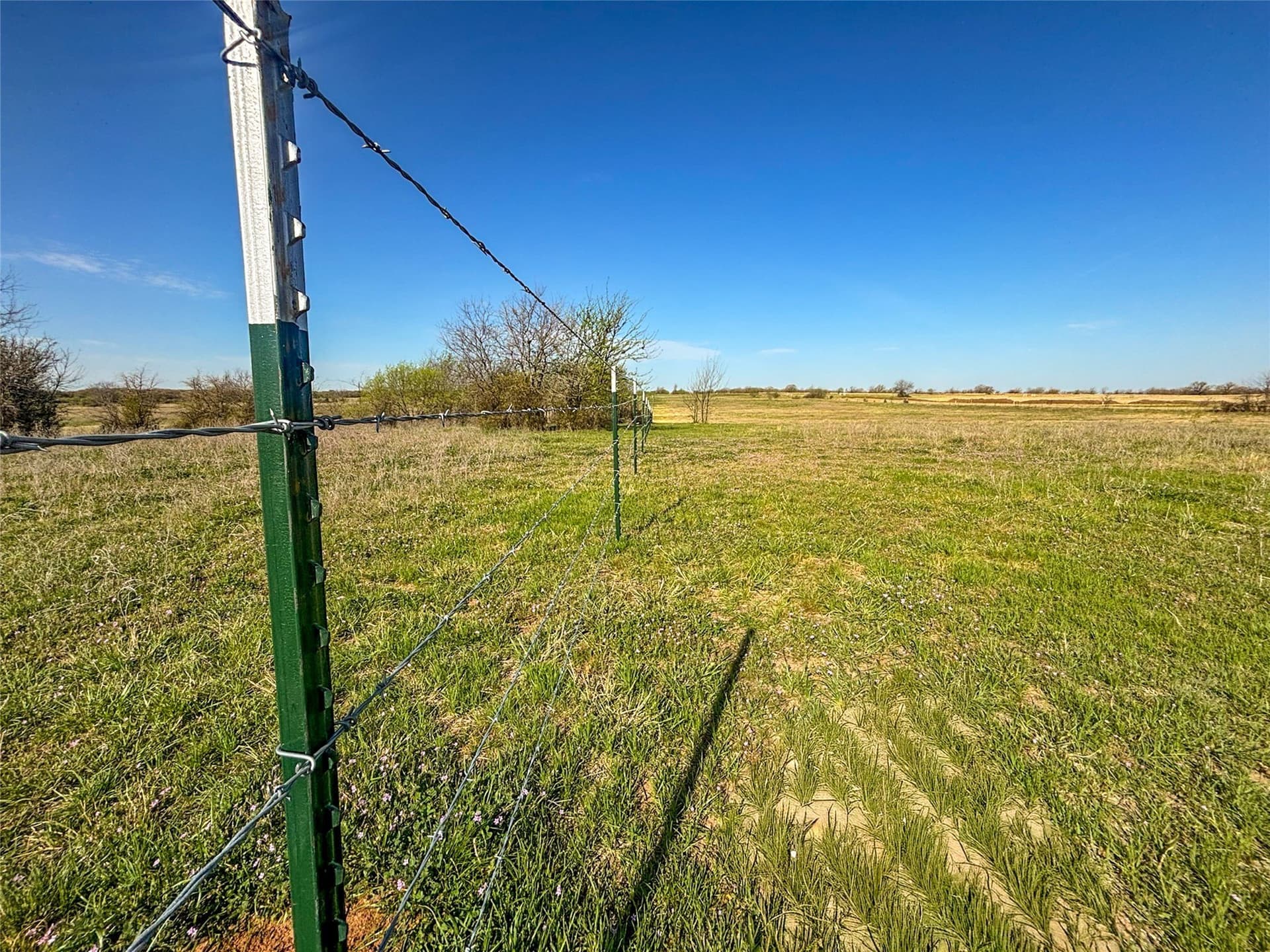 15.1 acres in Wise County - photo 24