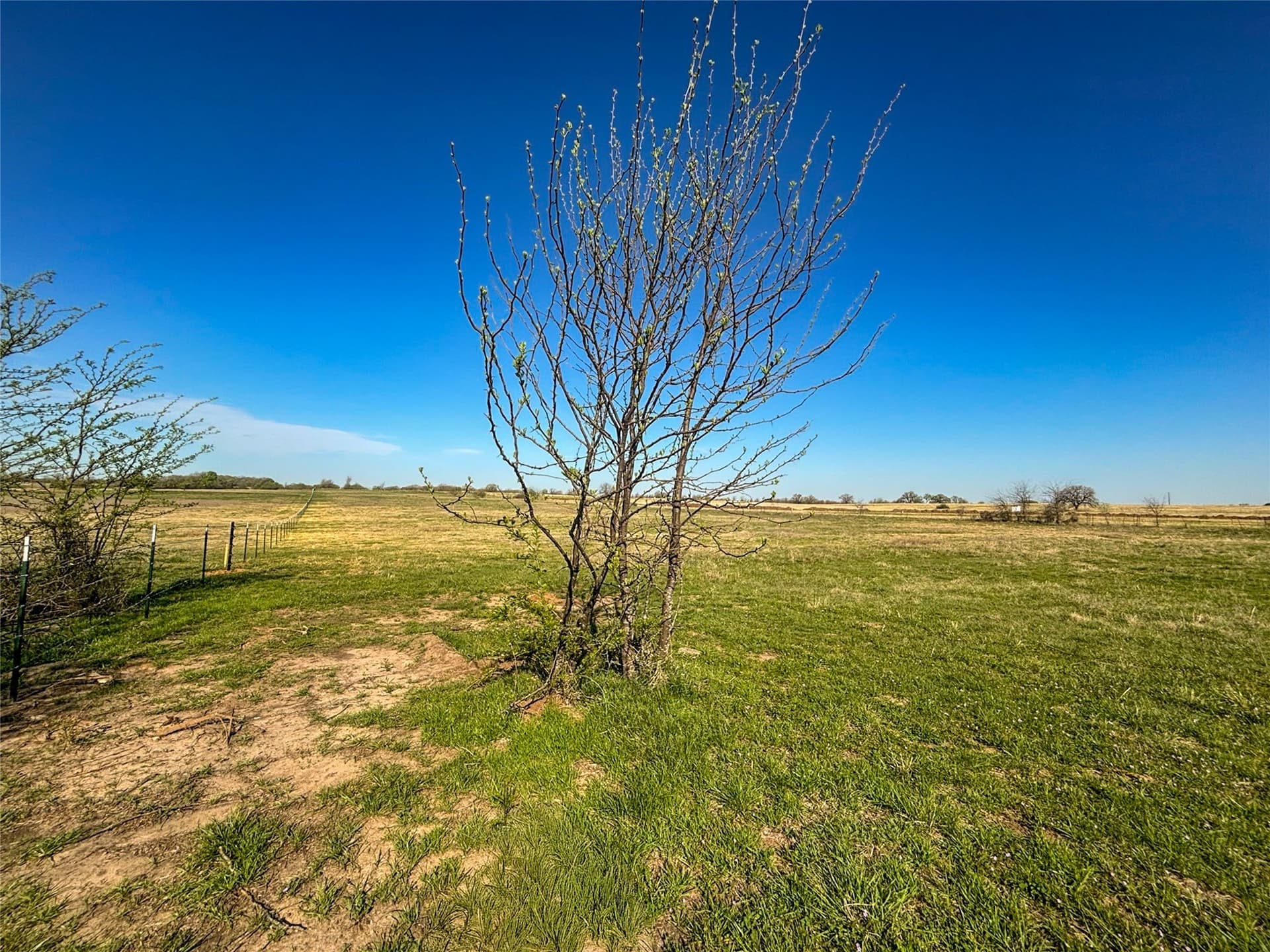 15.1 acres in Wise County - photo 26