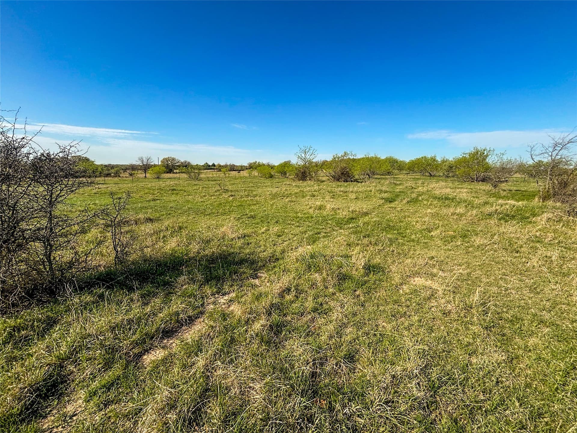 15.1 acres in Wise County - photo 29