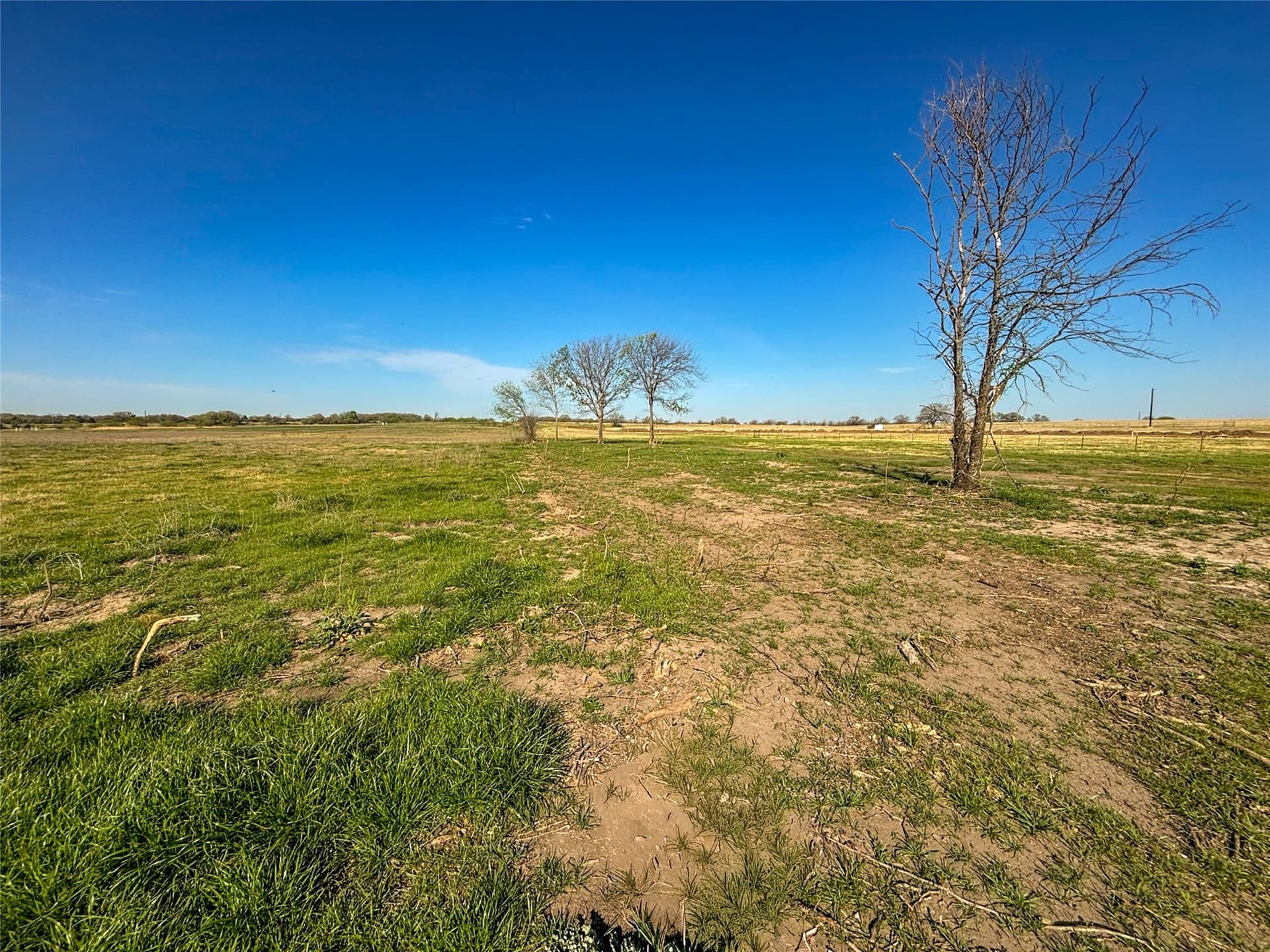 15.1 acres in Wise County - photo 21