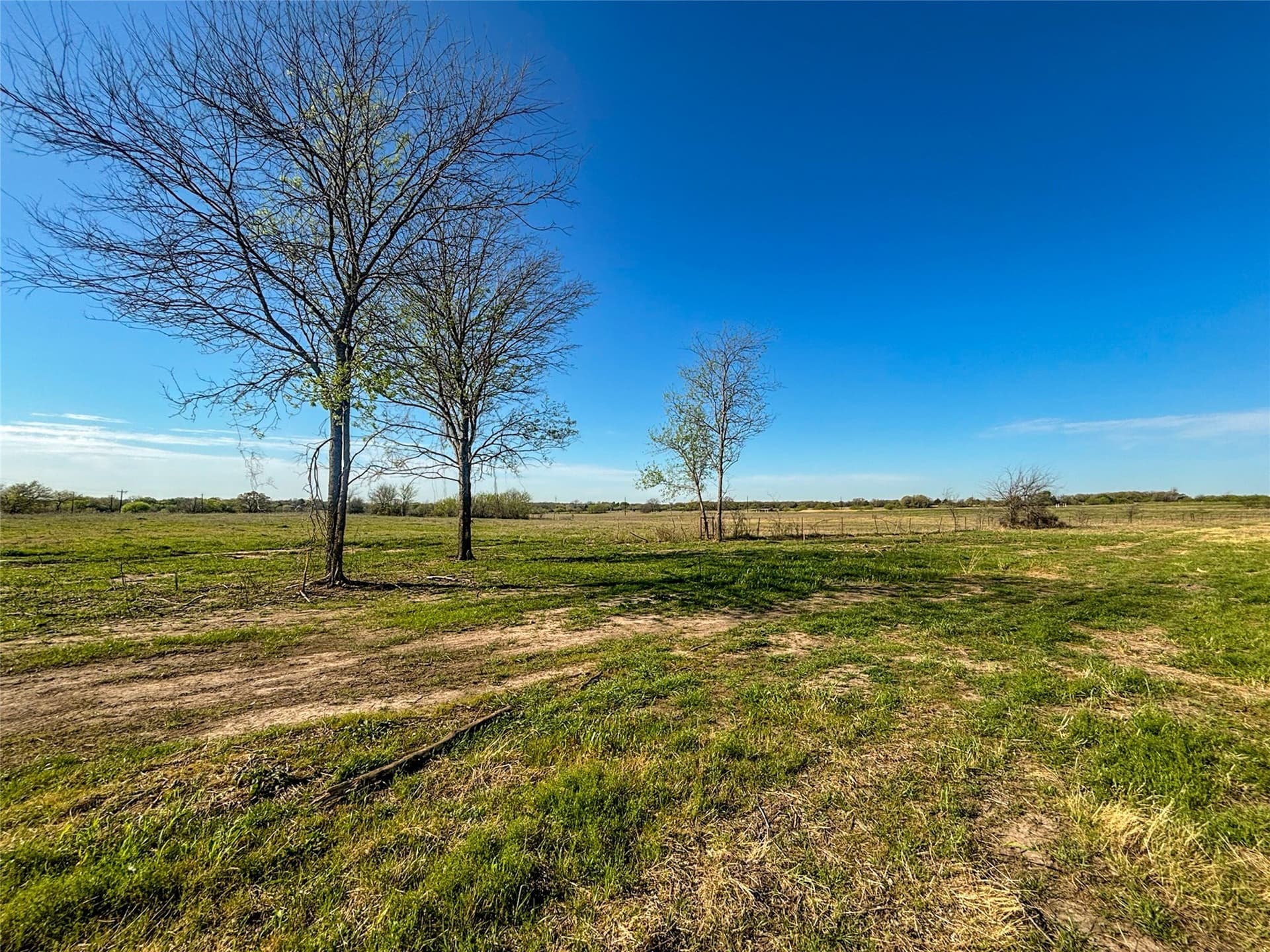 15.1 acres in Wise County - photo 32
