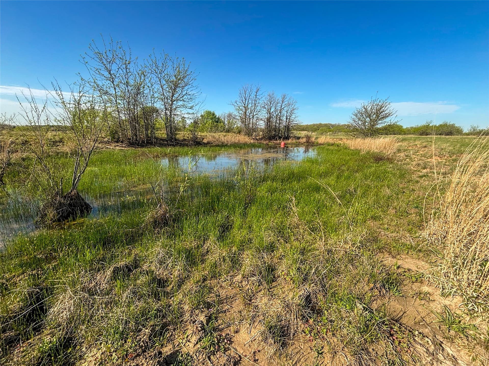 15.1 acres in Wise County - photo 28