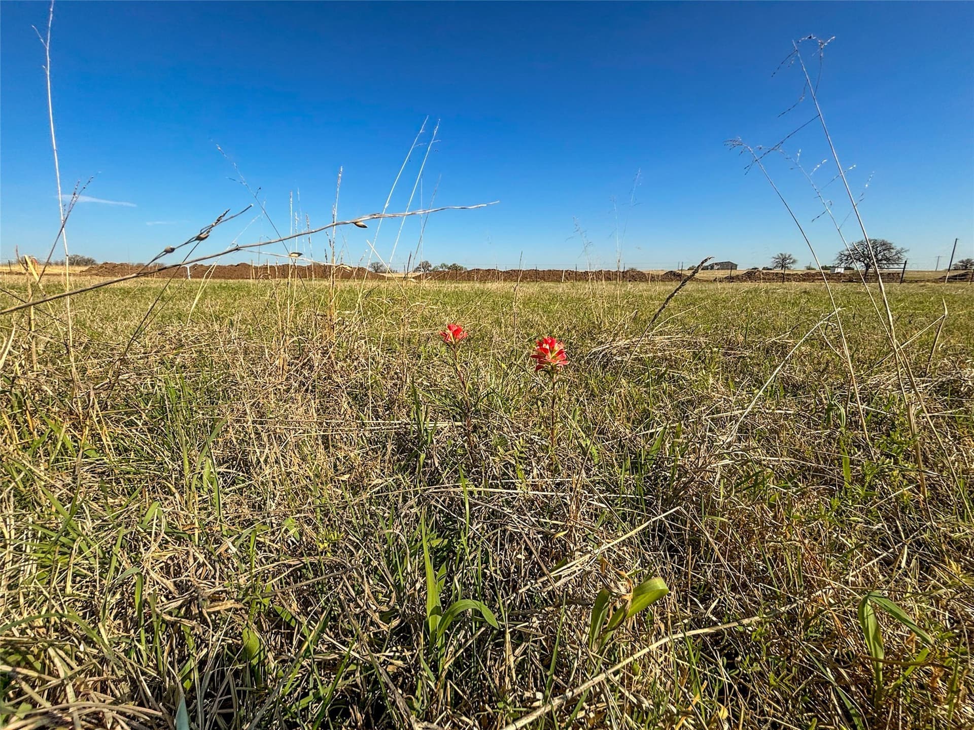 15.1 acres in Wise County - photo 30