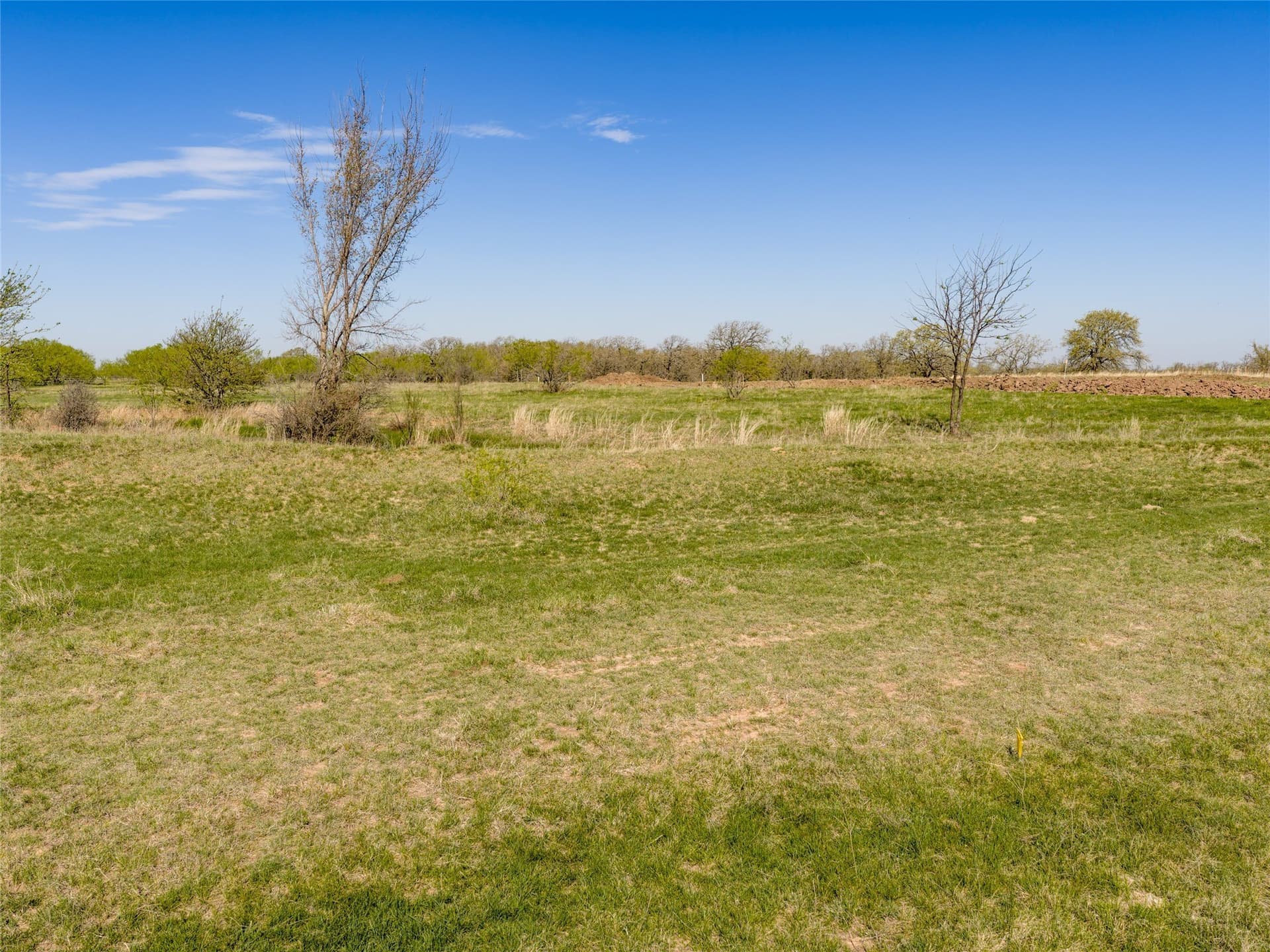 15.1 acres in Wise County - photo 6
