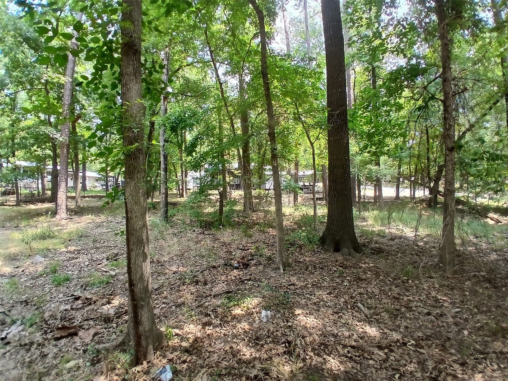0.3 acres in Camp County - photo 11