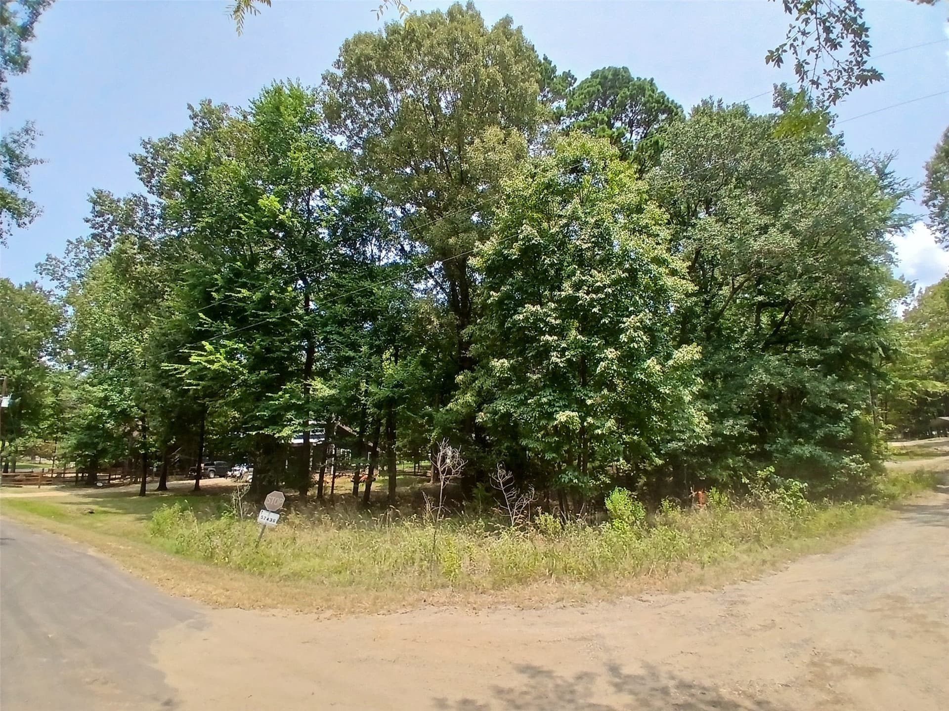 0.3 acres in Camp County - photo 4