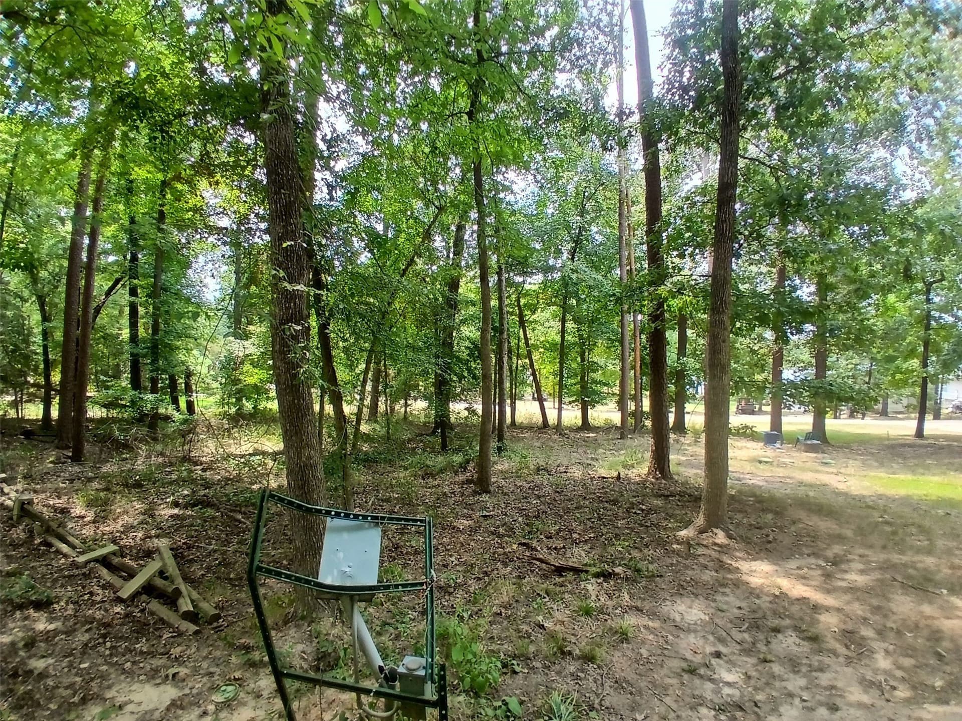0.3 acres in Camp County - photo 16