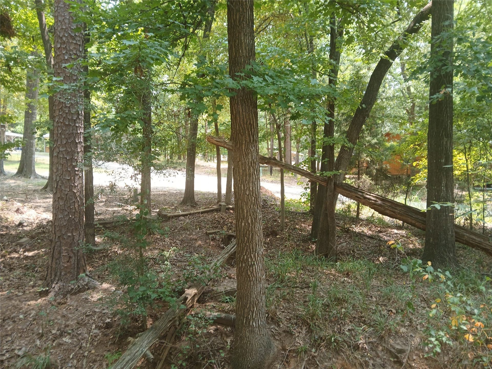 0.3 acres in Camp County - photo 17