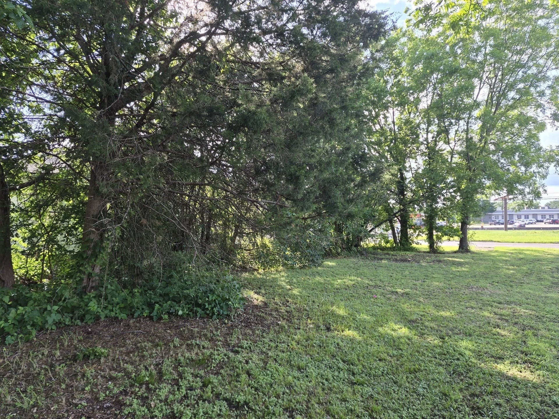 0.24 acres in McLennan County gallery image 3