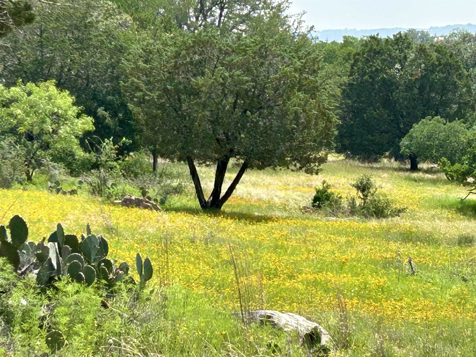 0.35 acres in Llano County gallery image 4