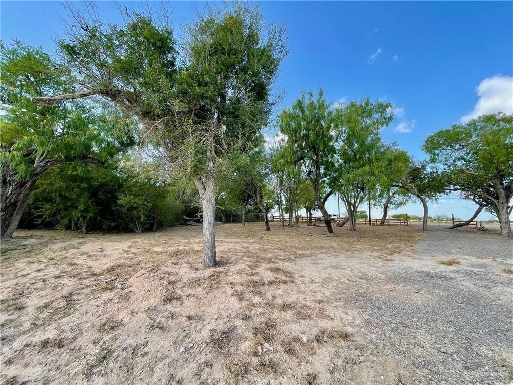 0.33 acres in Hidalgo County gallery image 3