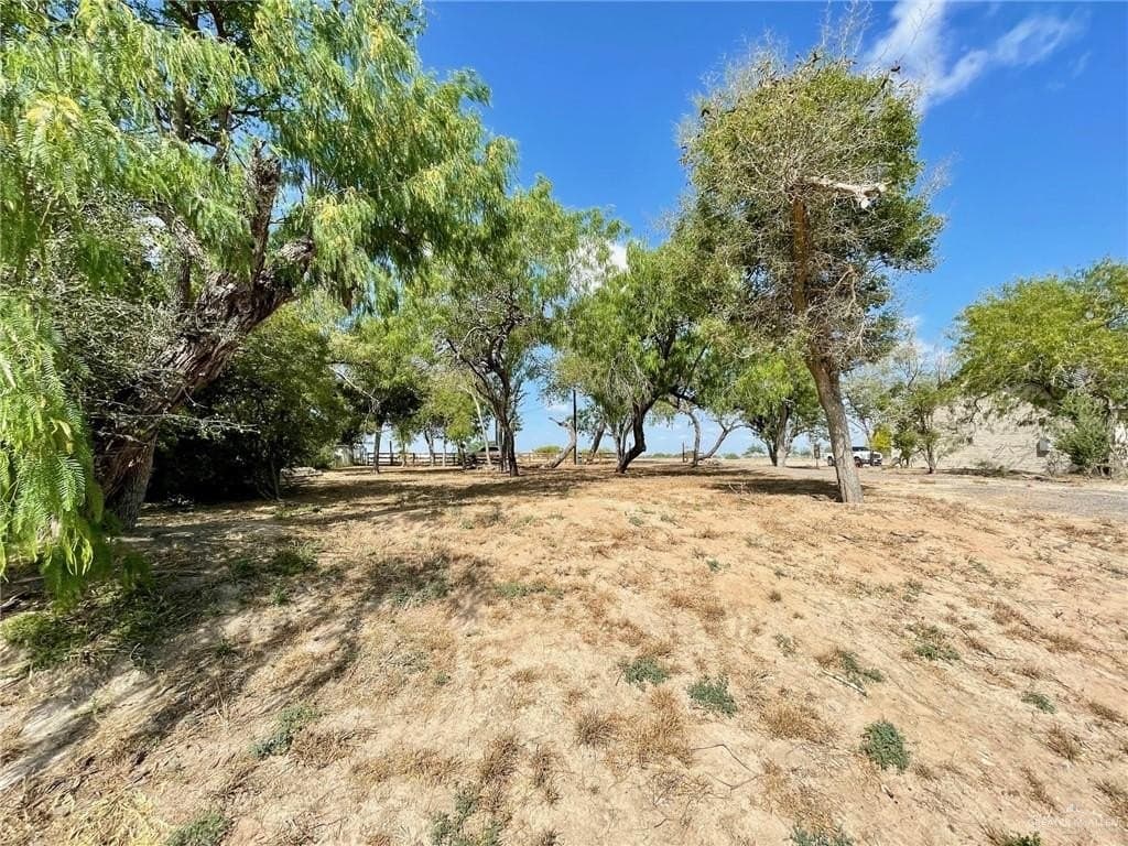 0.33 acres in Hidalgo County gallery image 4
