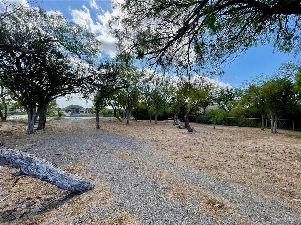 0.33 acres in Hidalgo County gallery image 2