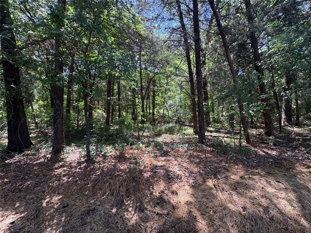 25 acres in Hopkins County gallery image 3