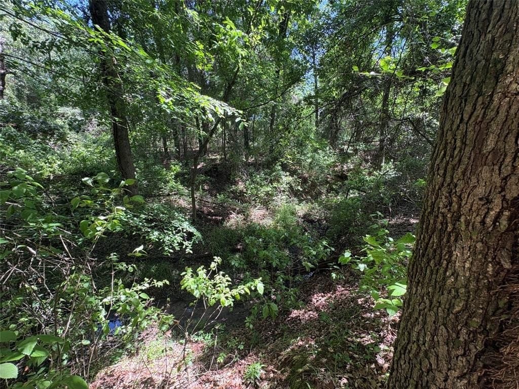 25 acres in Hopkins County featured view