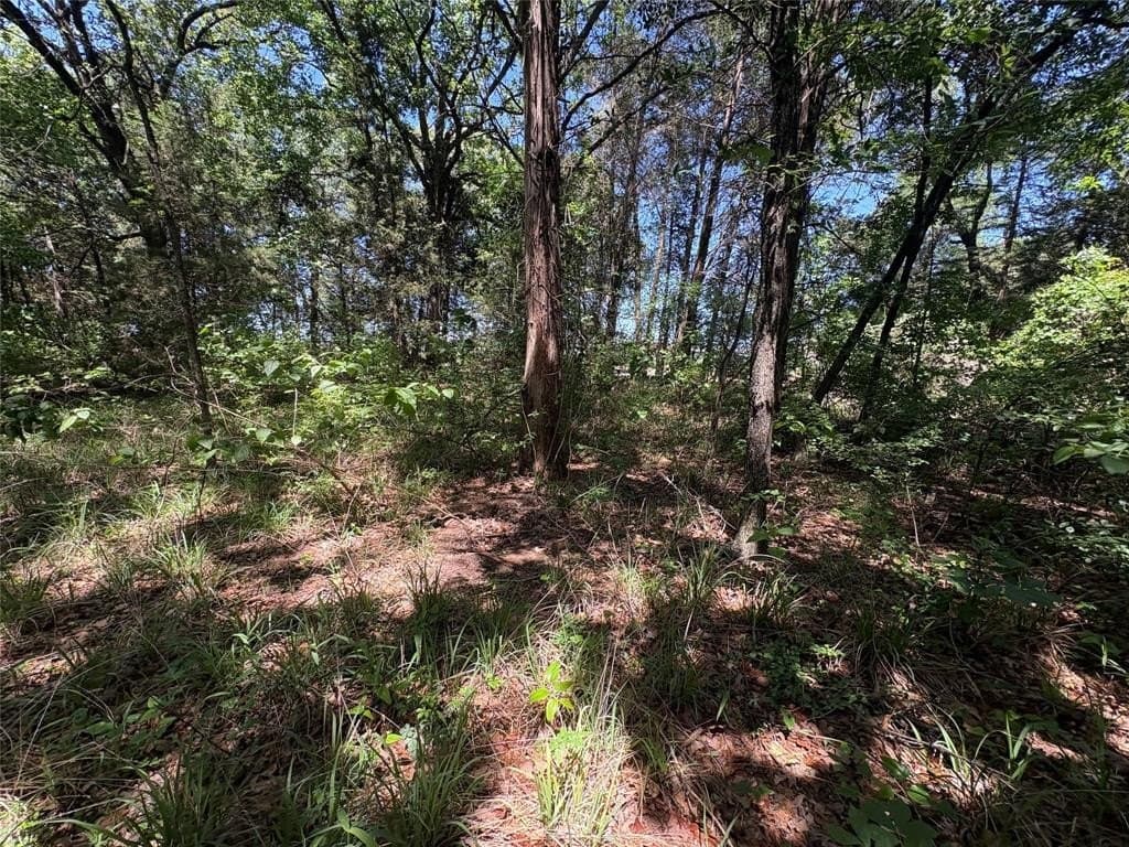 25 acres in Hopkins County gallery image 4