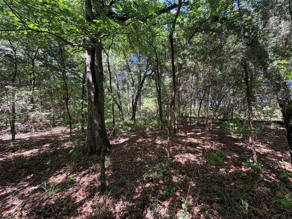 25 acres in Hopkins County gallery image 2