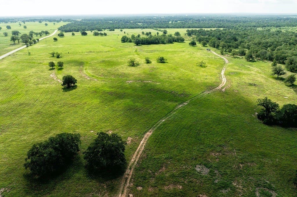 155.95 acres in Fayette County - photo 6