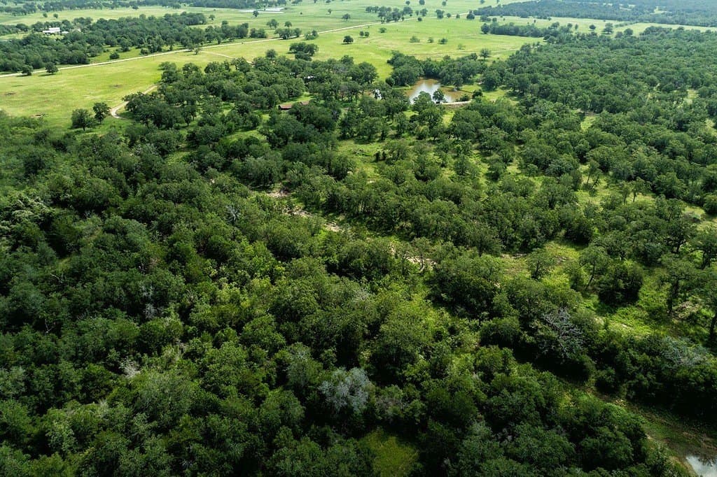 155.95 acres in Fayette County - photo 9