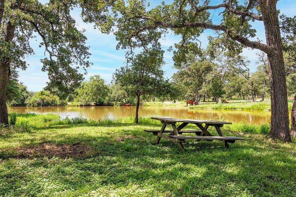 155.95 acres in Fayette County - photo 10
