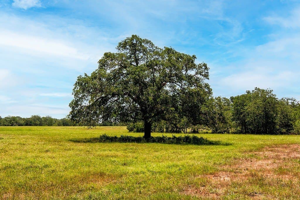 155.95 acres in Fayette County - photo 28