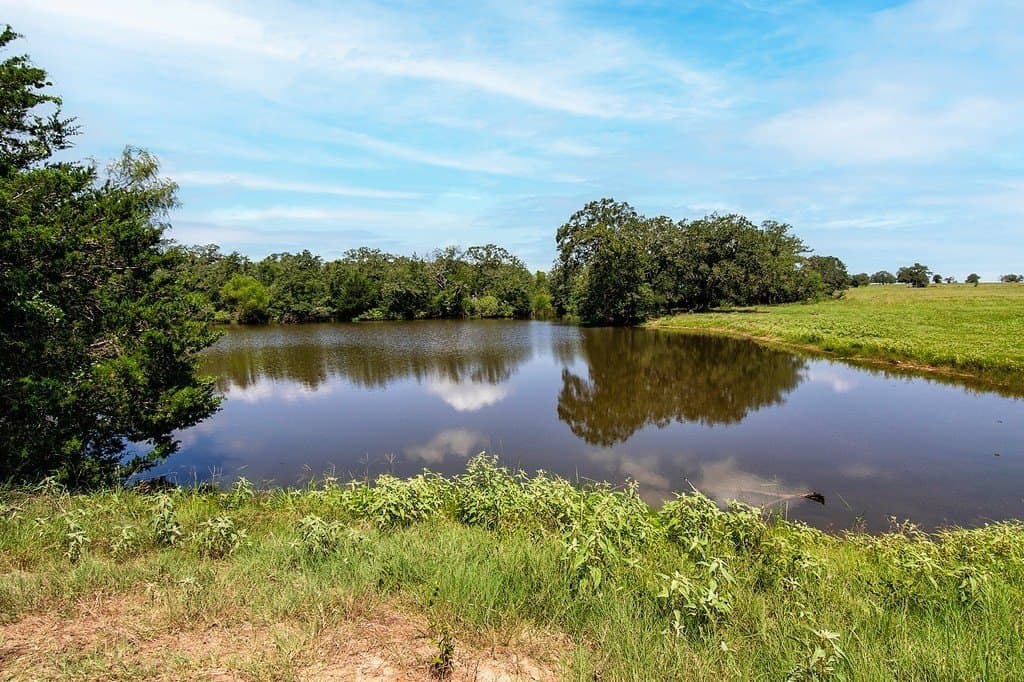 155.95 acres in Fayette County gallery image 4