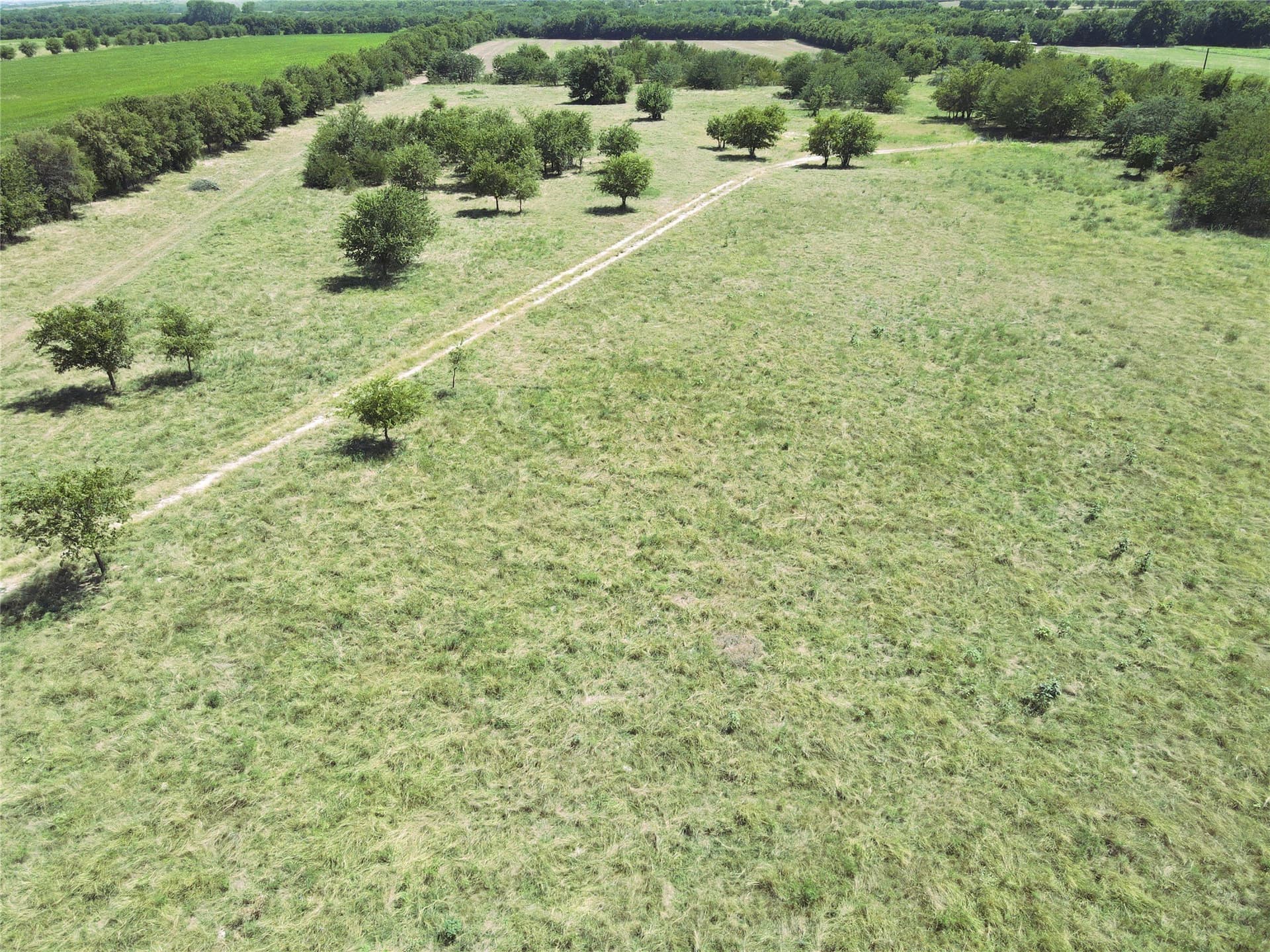 30.5 acres in Wise County - photo 5