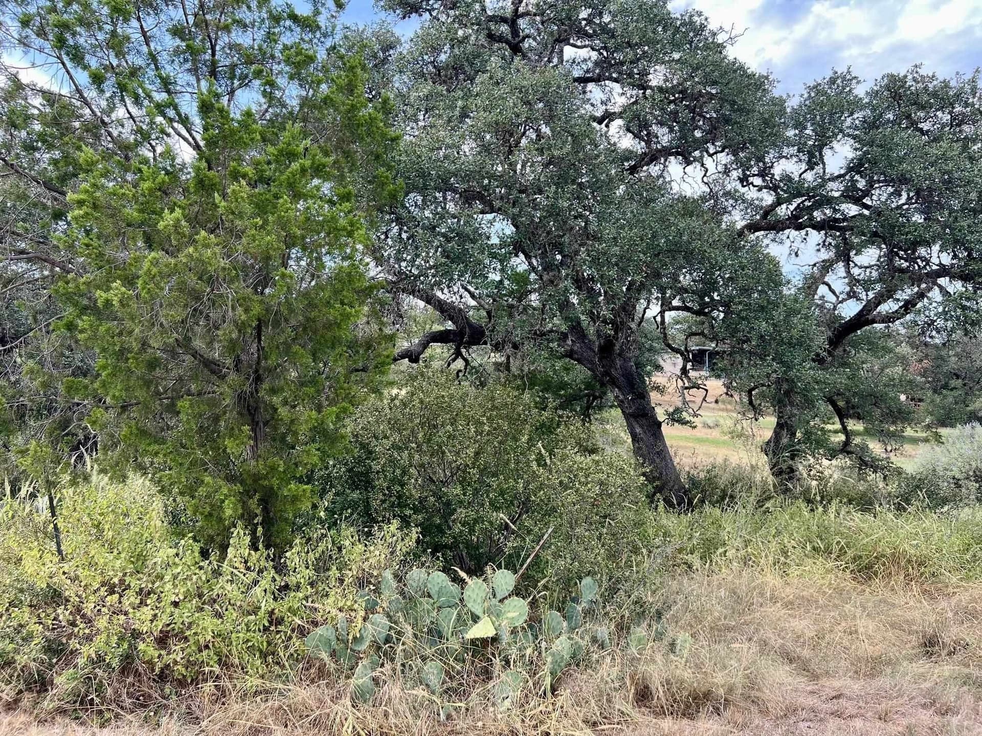 0.58 acres in Llano County - photo 18