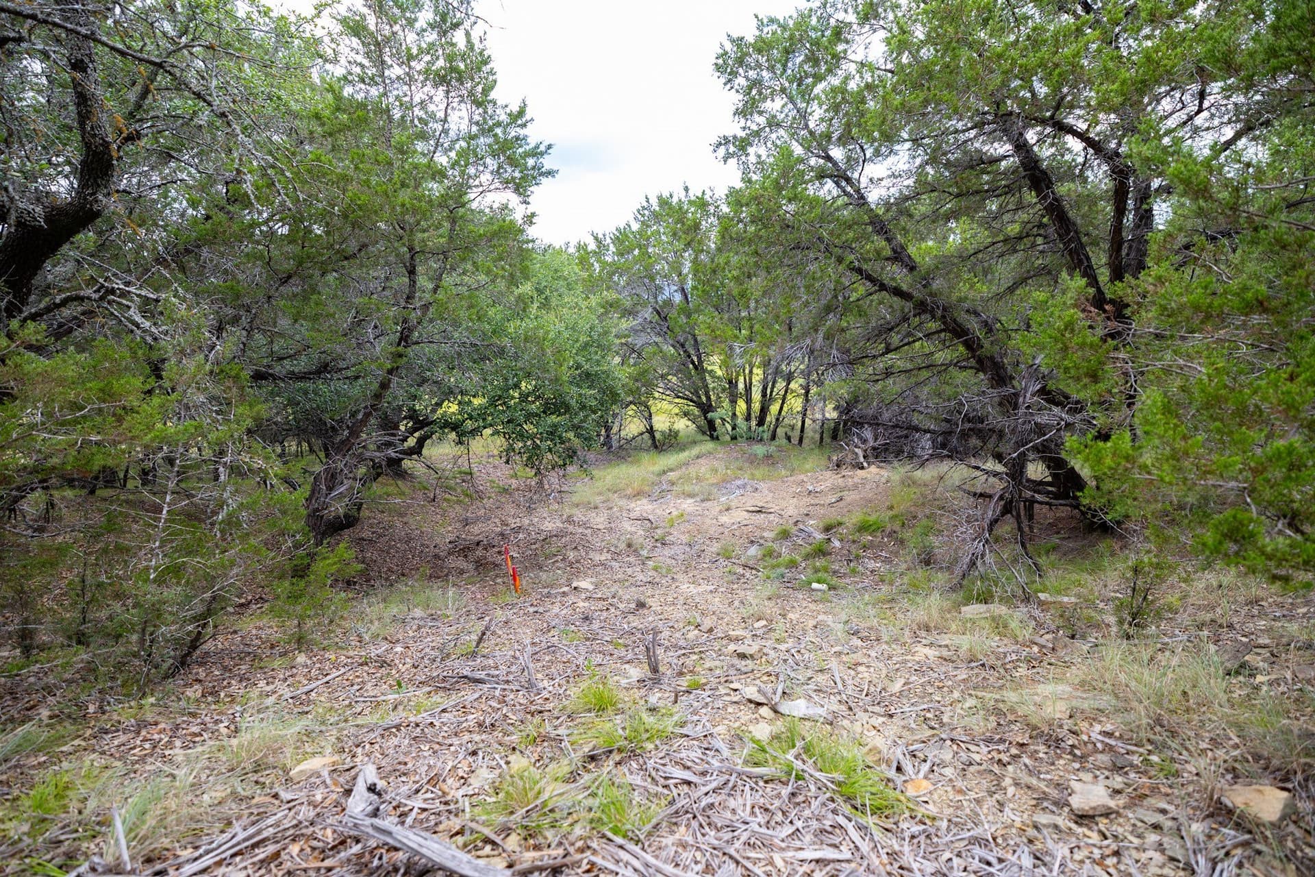 5 acres in Palo Pinto County - photo 20
