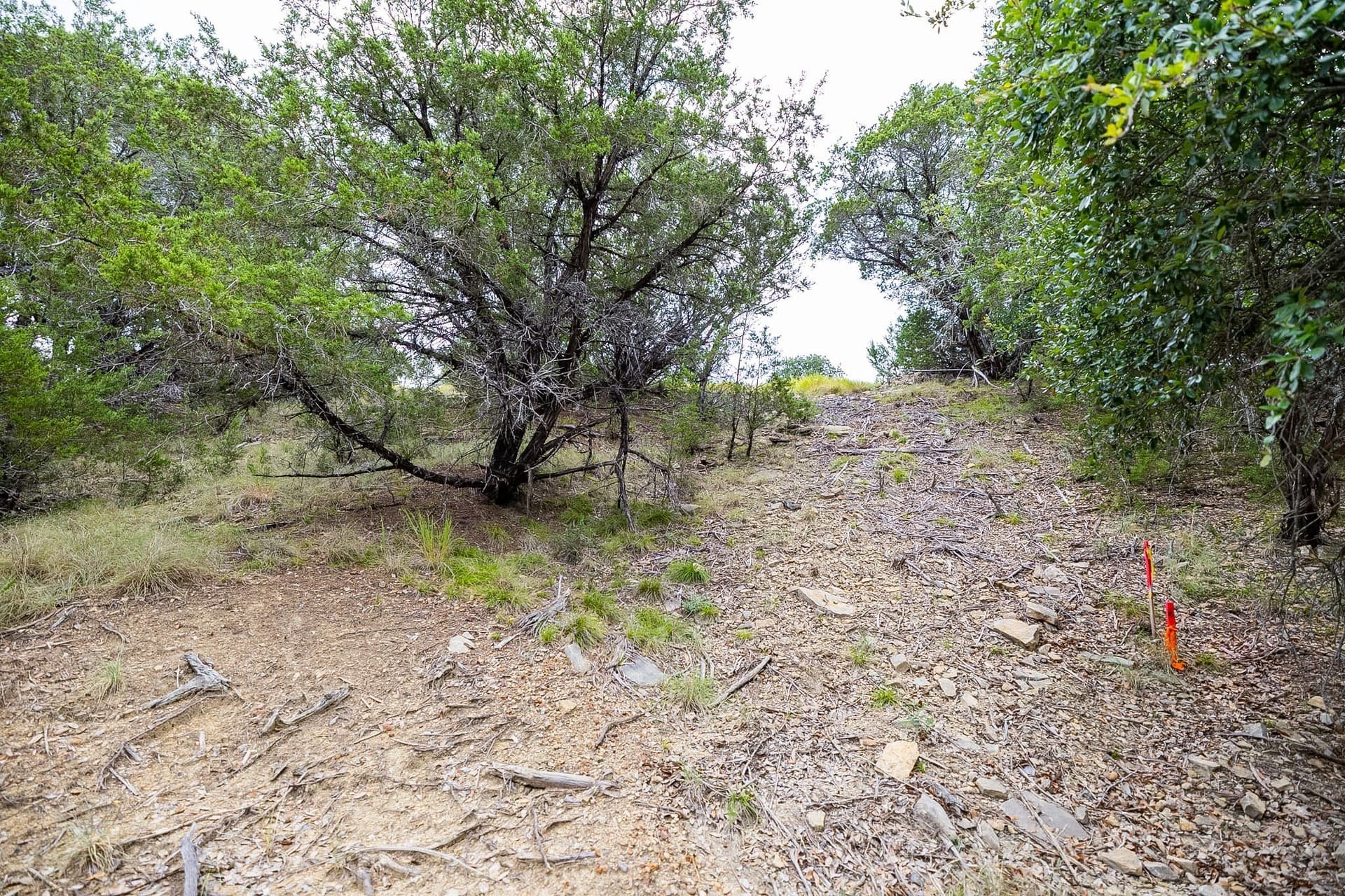 5 acres in Palo Pinto County - photo 21