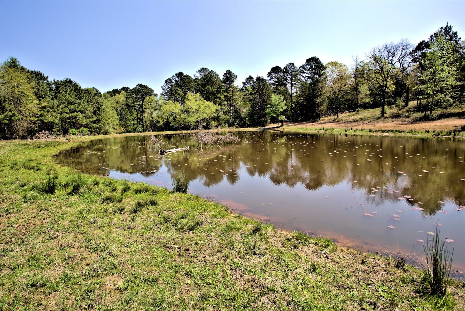 20 acres in Smith County - photo 30