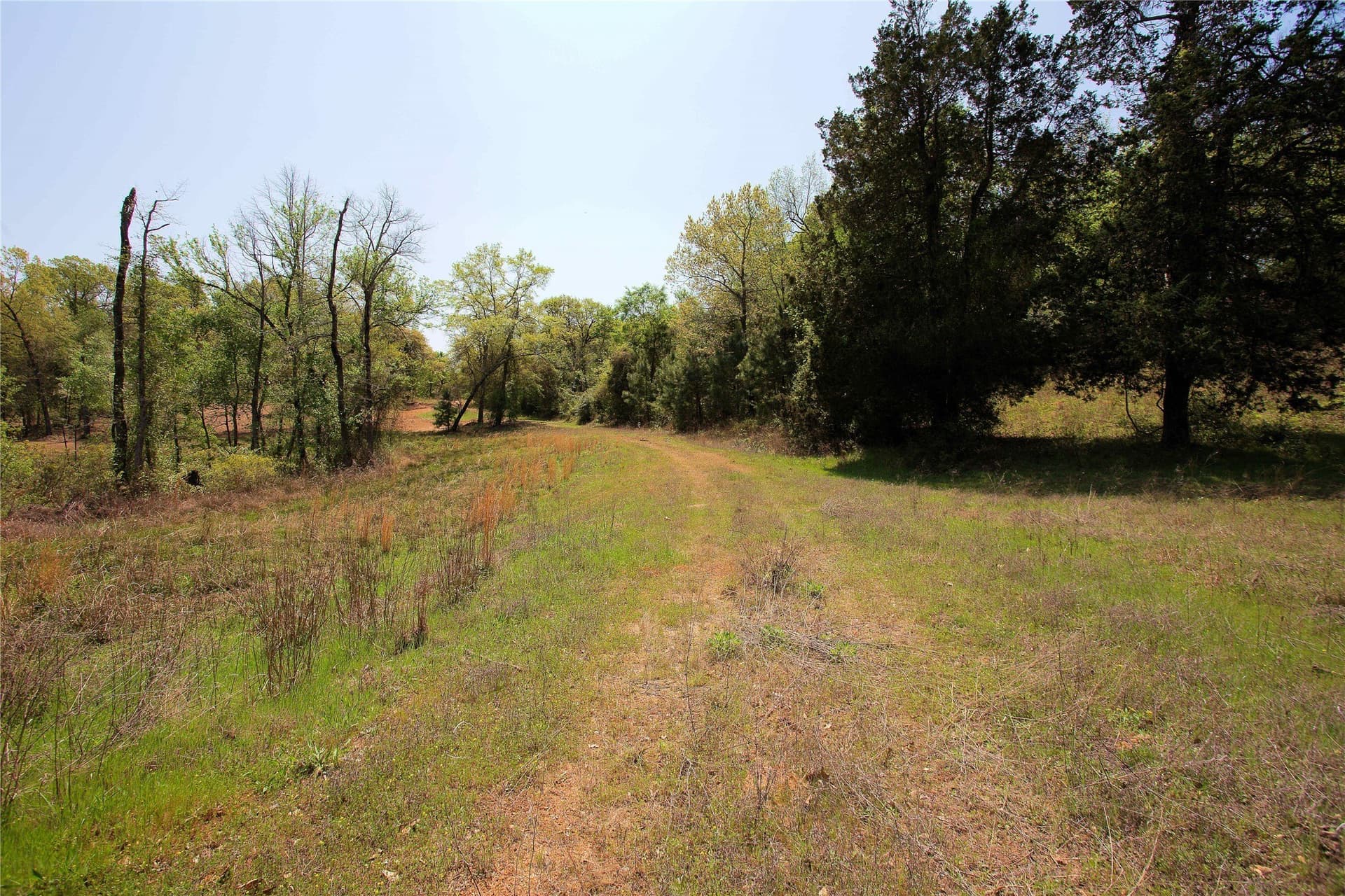20 acres in Smith County - photo 25