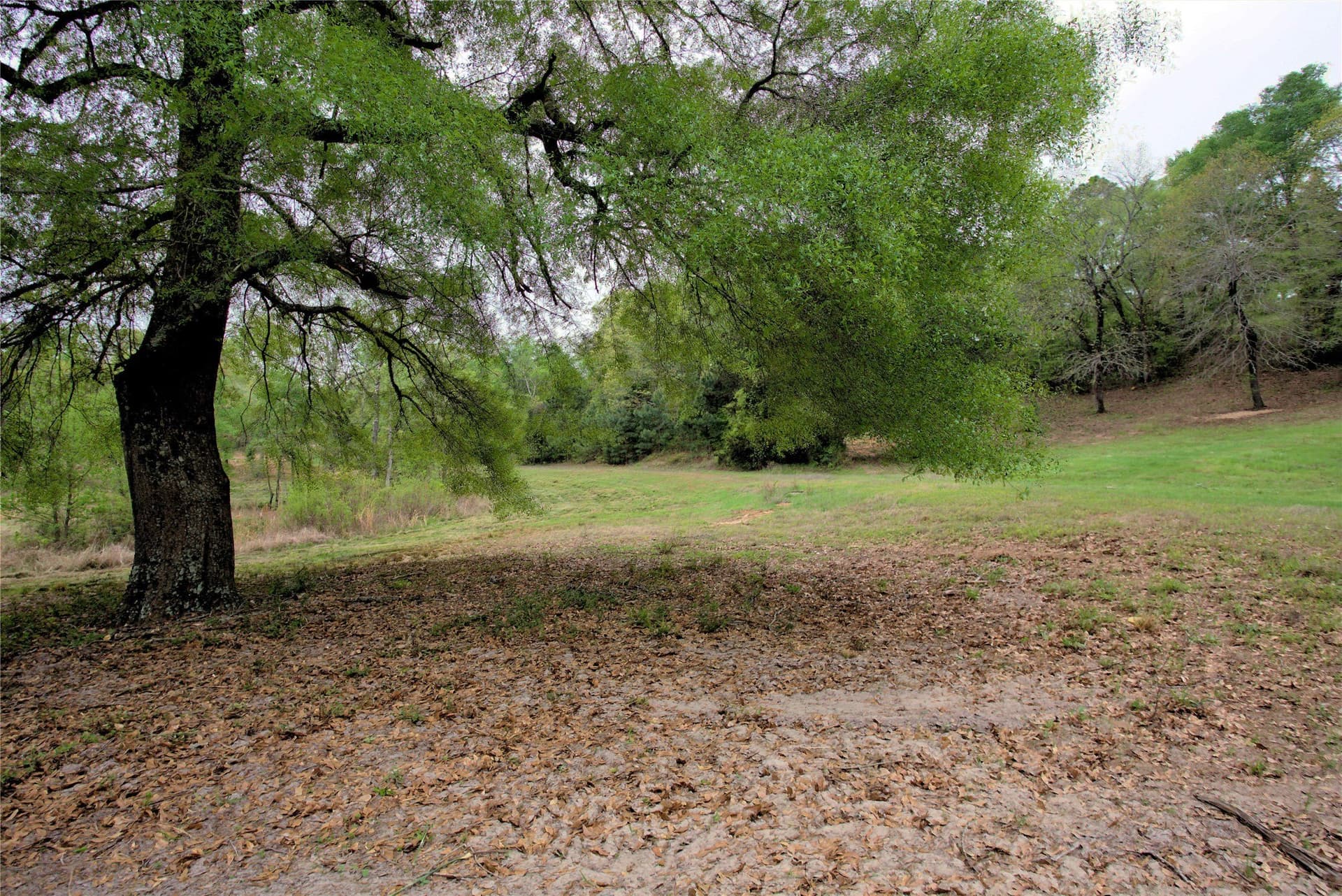 20 acres in Smith County - photo 27