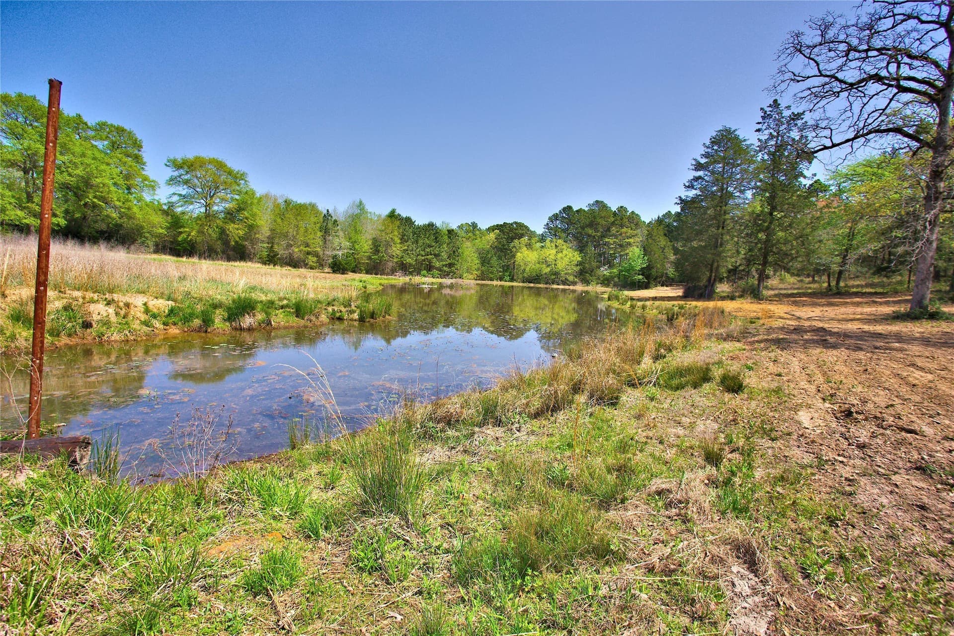 20 acres in Smith County - photo 28
