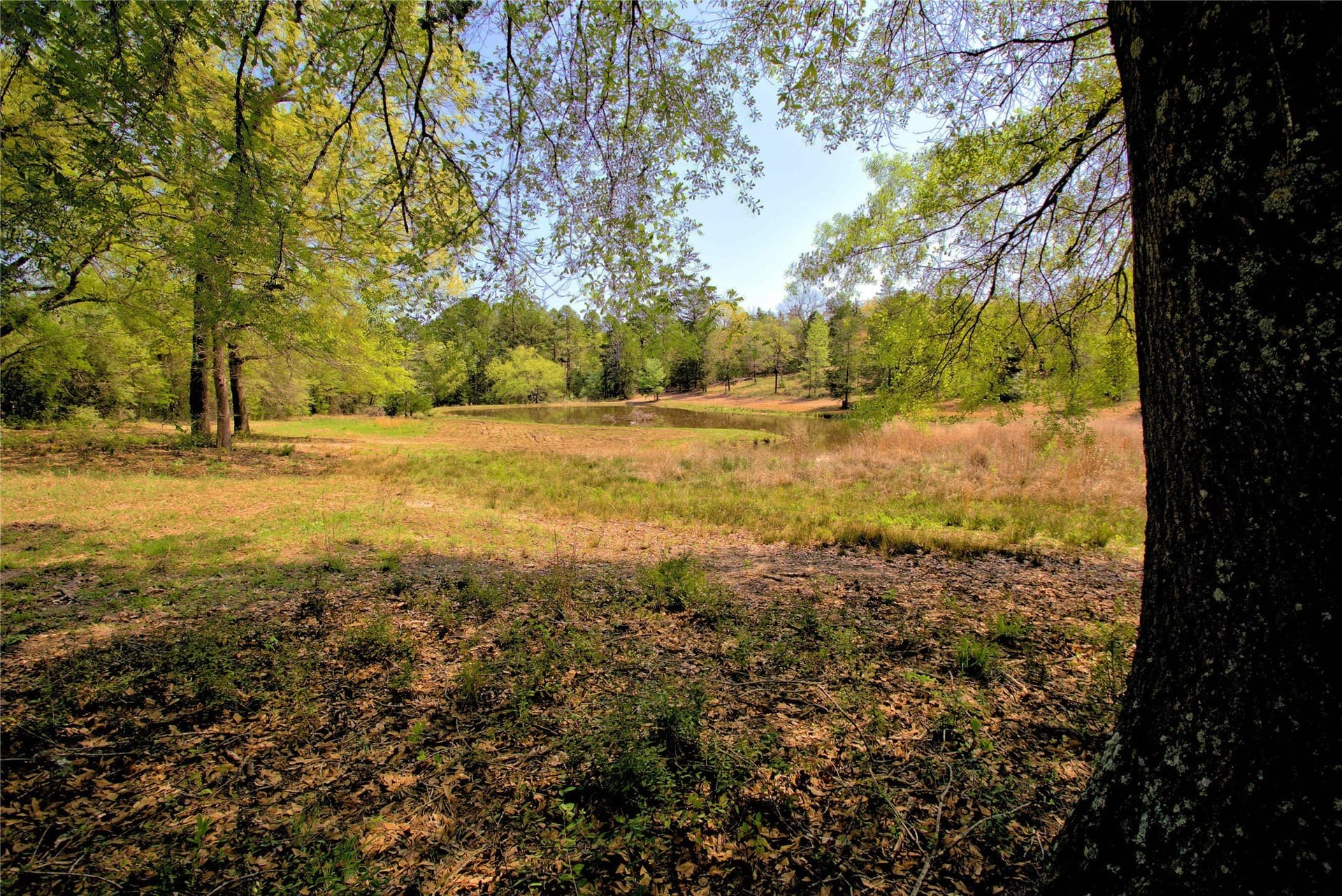 20 acres in Smith County - photo 29