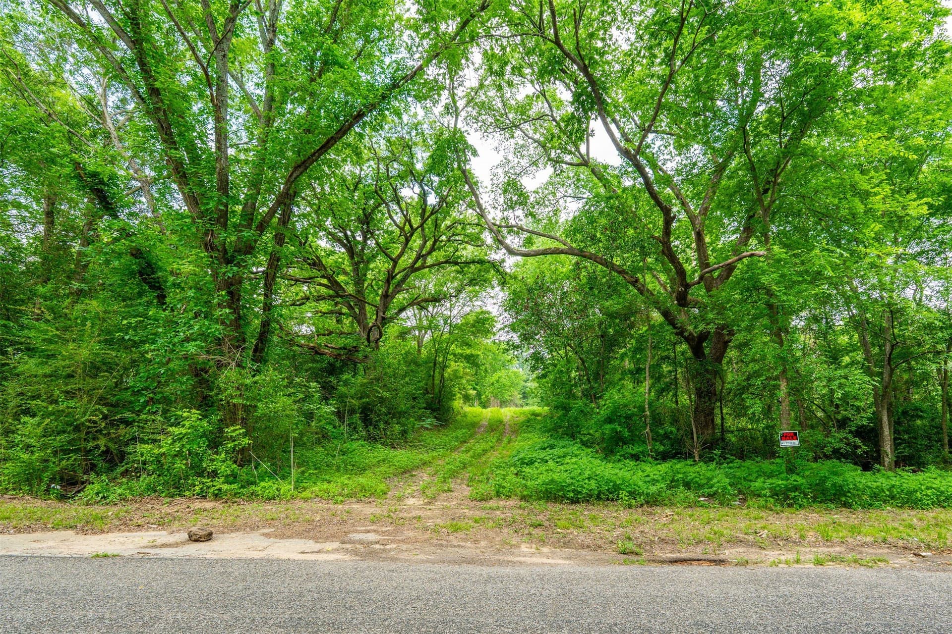 3.92 acres in Henderson County gallery image 3