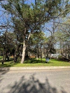 0.32 acres in Dallas County - photo 2