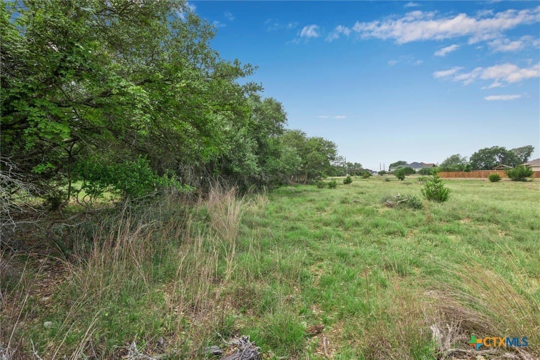 0.22 acres in Blanco County - photo 6