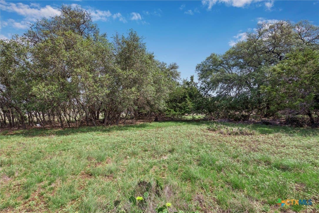 0.22 acres in Blanco County - photo 9