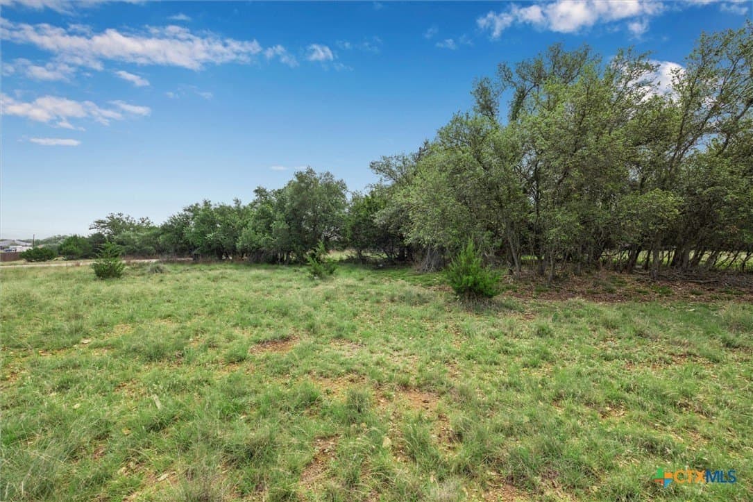 0.22 acres in Blanco County - photo 7