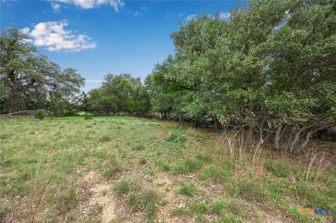 0.22 acres in Blanco County gallery image 4