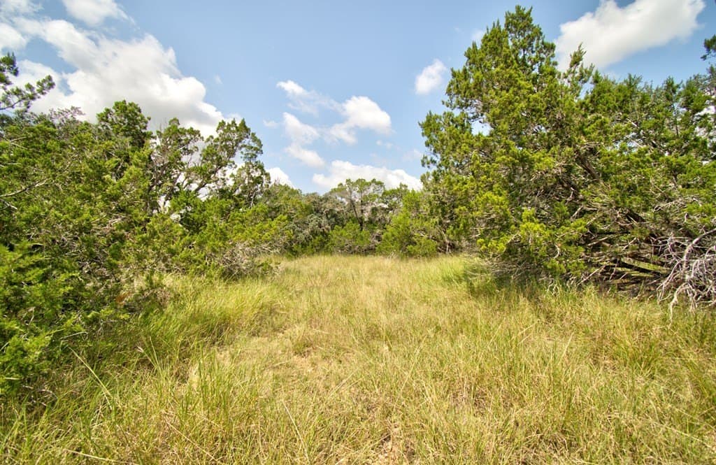 5.02 acres in Kerr County - photo 8