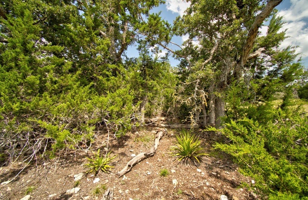 5.02 acres in Kerr County - photo 6