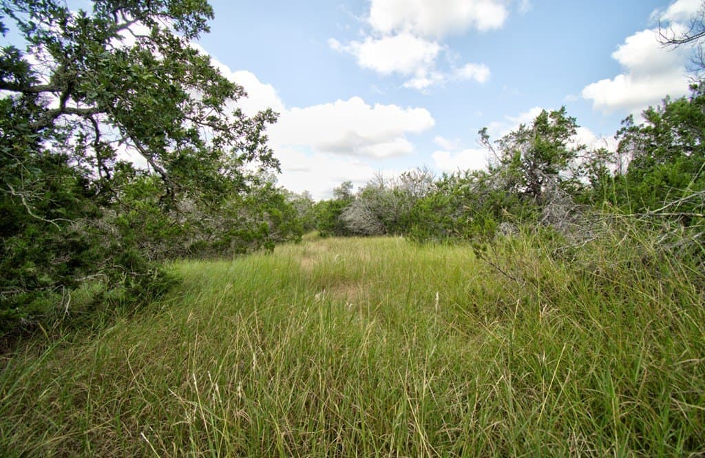 5.02 acres in Kerr County - photo 7