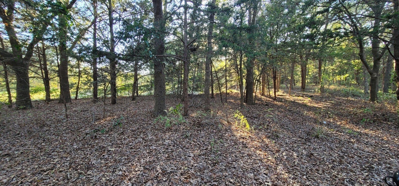5.03 acres in Cooke County - photo 12